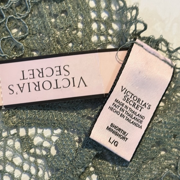 VICTORIA’S SECRET Lace Panties Shorties Green Size L/G NWT - Picture 6 of 9